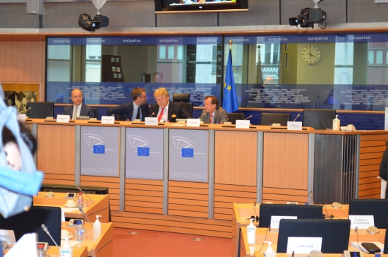 Martin Kobler at EU Parl 29 May 2013 013